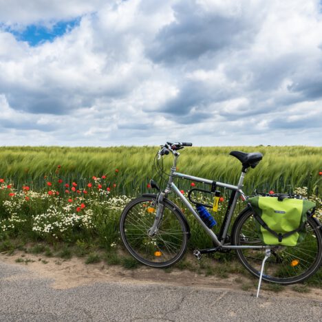 City-Bikes, E-Bikes, Kinderanhänger, Kindersitze und Zusatzartikel